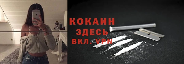 бошки Протвино