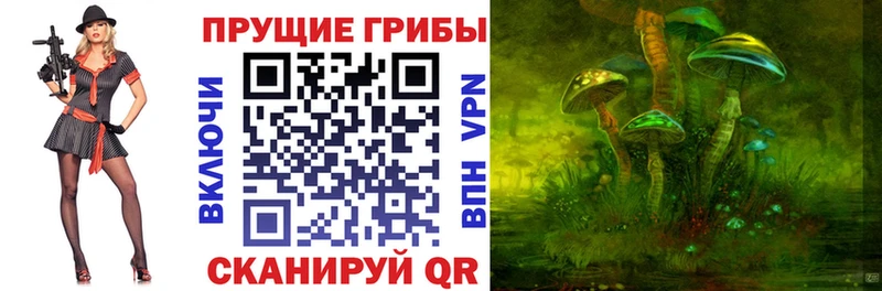 Галлюциногенные грибы ЛСД  Благовещенск 