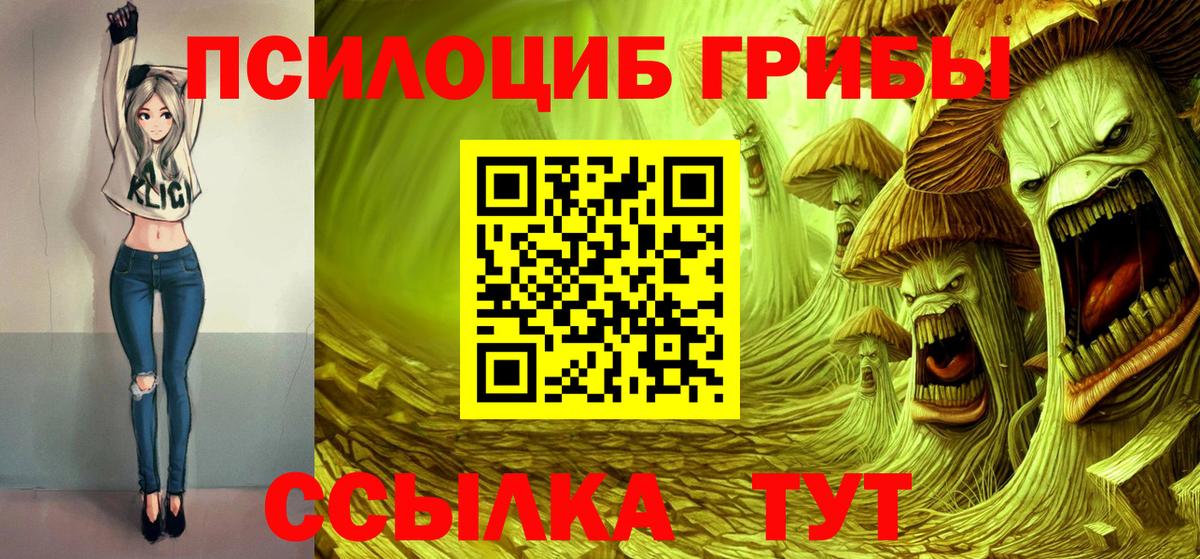 Псилоцибиновые грибы Psilocybe Благовещенск