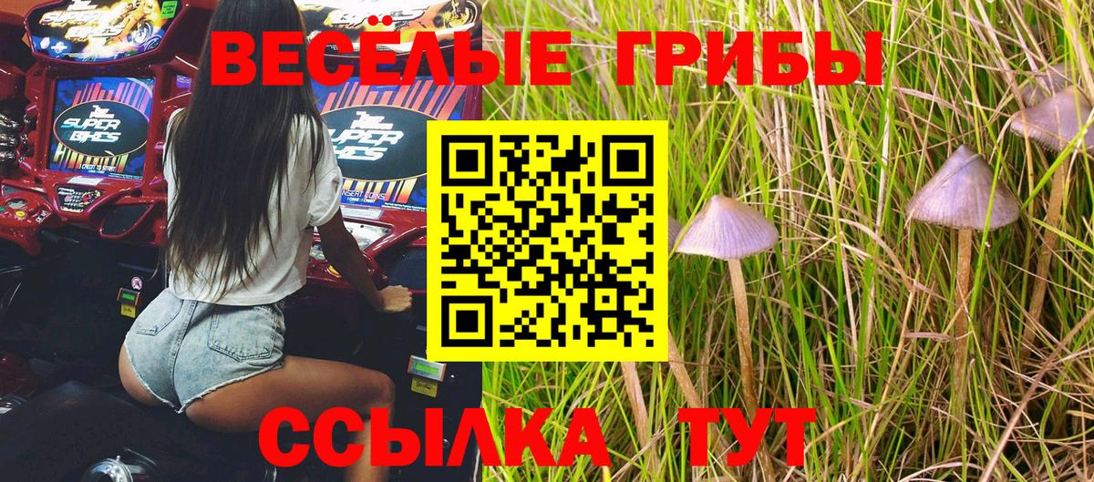 Благовещенск  Псилоцибиновые грибы MAGIC MUSHROOMS  Псилоцибиновые грибы GOLDEN TEACHER  Вход с VPN 